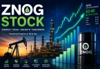 znog stock